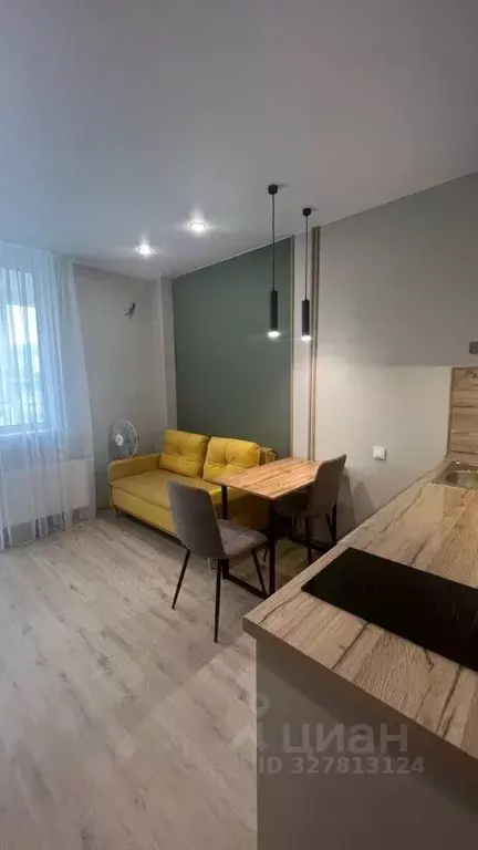 Студия Приморский край, Владивосток ул. Полковника Фесюна, 18 (25.0 м) - Фото 2