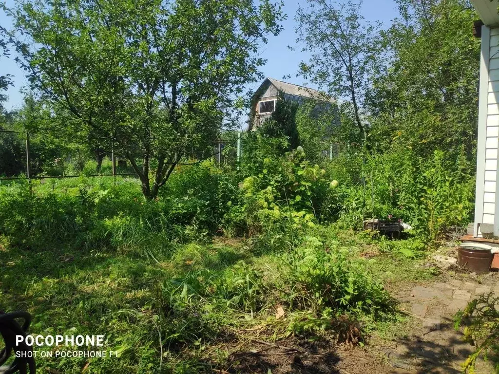 Дом в Тамбовская область, Тамбов Ягодка СНТ, 1 (45 м) - Фото 2