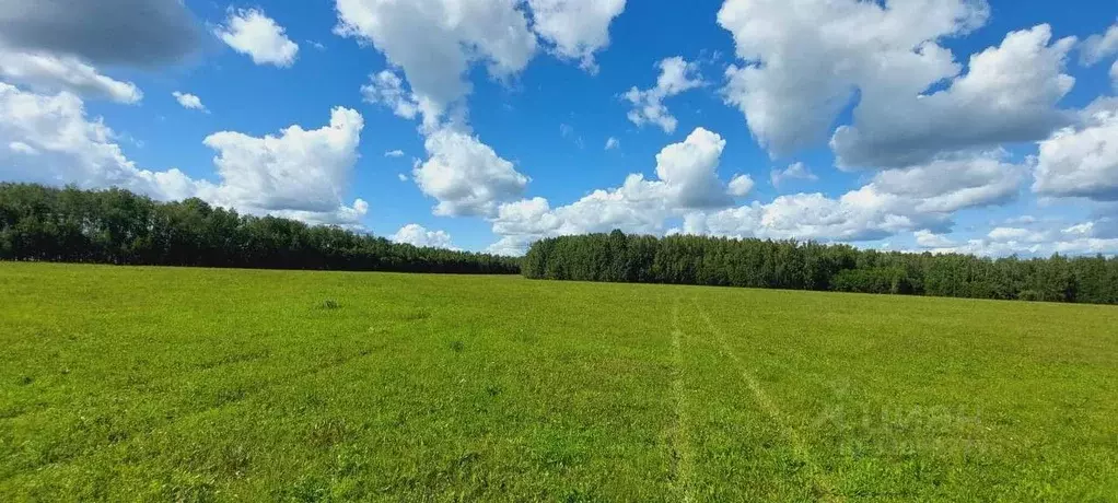 Участок в Тульская область, Алексин городской округ, д. Борисово  ... - Фото 0