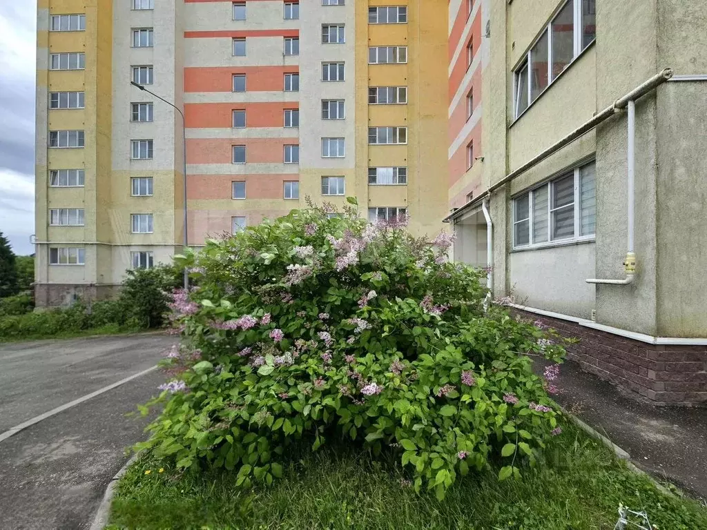 2-к кв. Нижегородская область, Бор ул. Максима Горького, 62/6 (51.0 м) - Фото 2