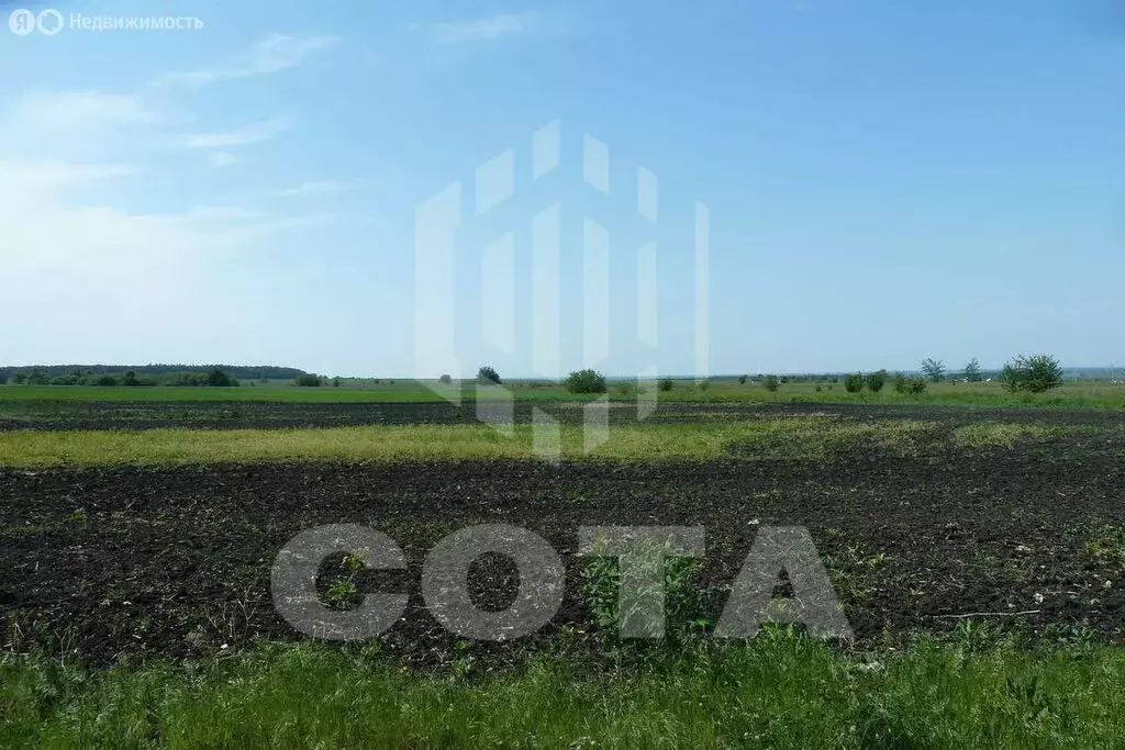Участок в Новоусманский район, село Хреновое (60 м) - Фото 1