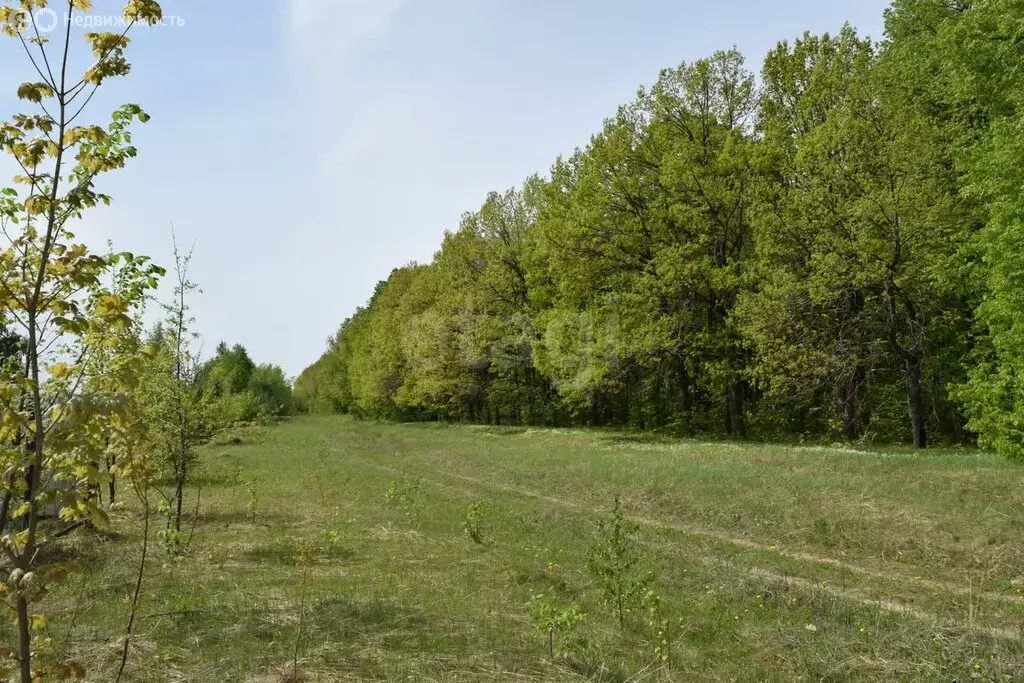 Участок в село Введенская Слобода, улица Татарстан (10 м) - Фото 1