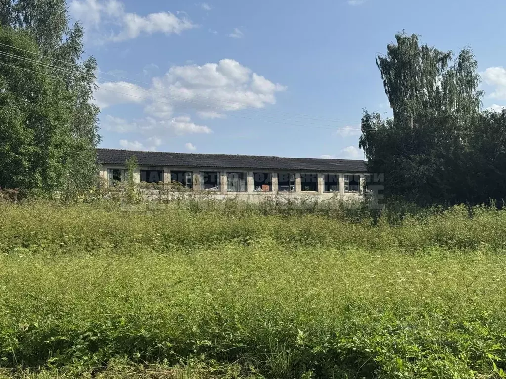 Склад в Смоленская область, Починковский муниципальный округ, ... - Фото 2