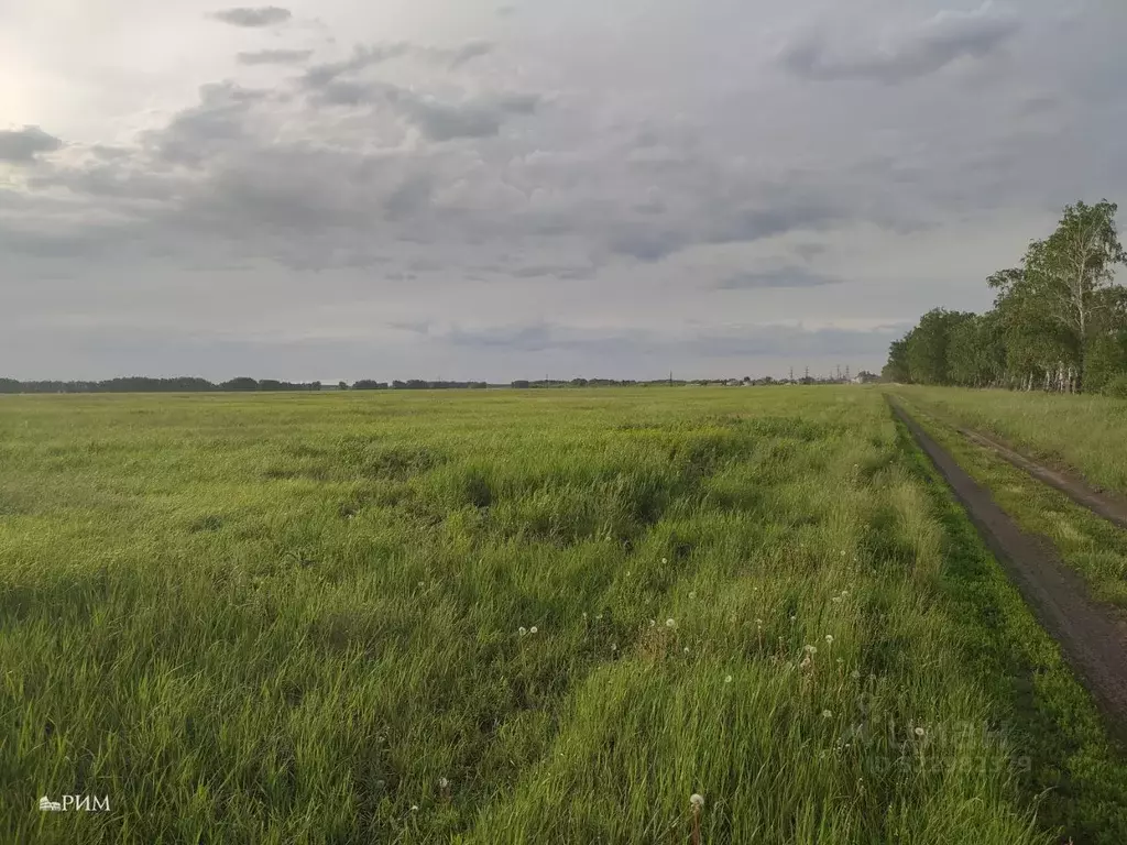 Участок в Липецкая область, Липецкий муниципальный округ, с. Подгорное ... - Фото 2