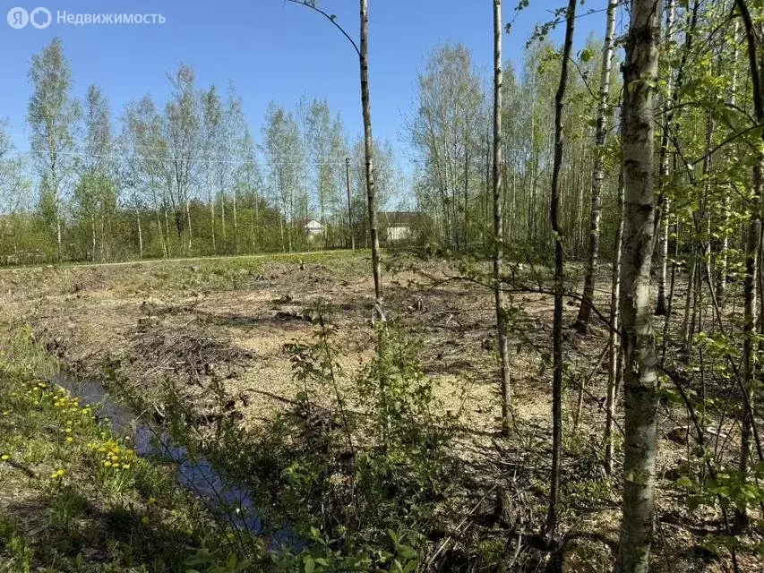 Участок в Виллозское городское поселение, садоводческое некоммерческое ... - Фото 1