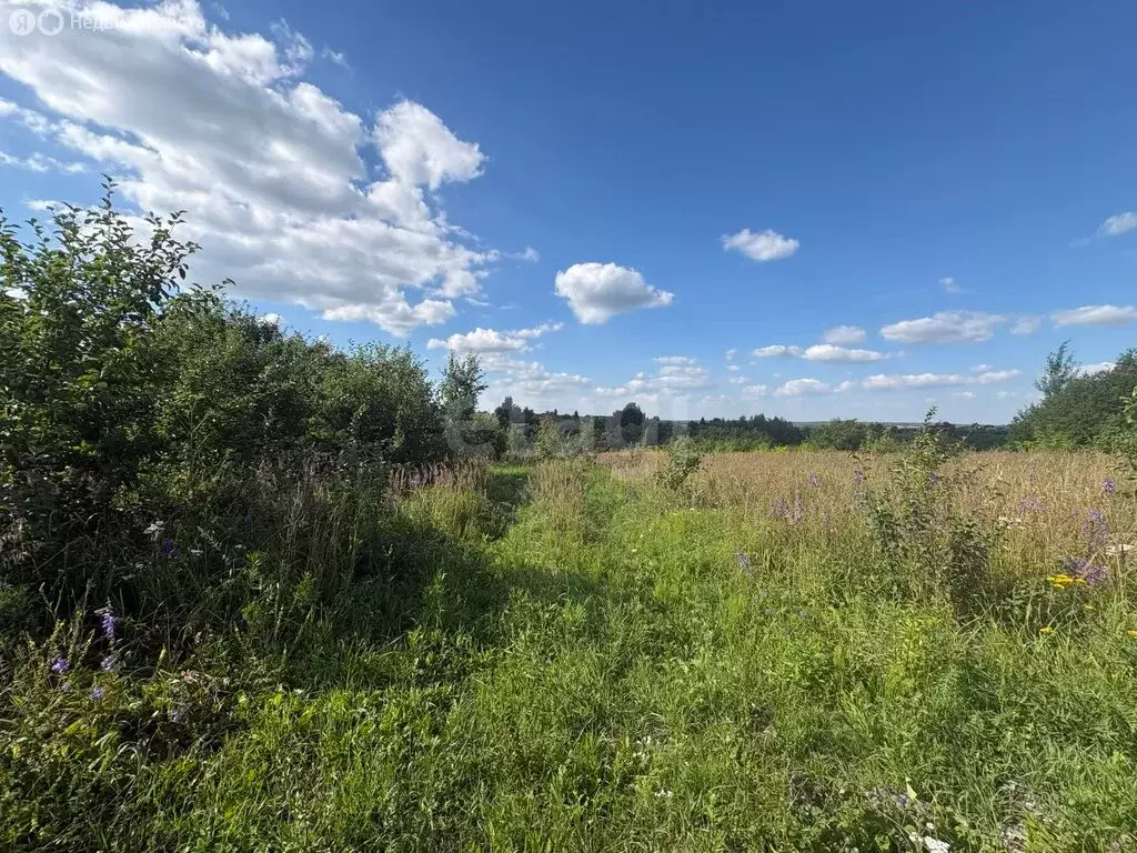 Участок в село Левжа, Родниковая улица (15 м) - Фото 2