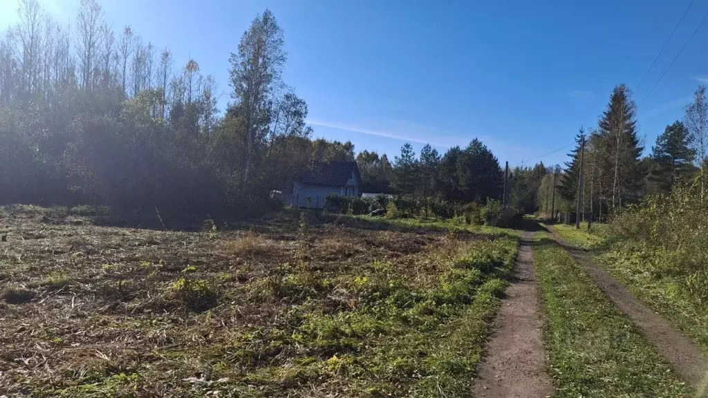 Участок в Новгородская область, Маловишерское городское поселение, д. ... - Фото 1
