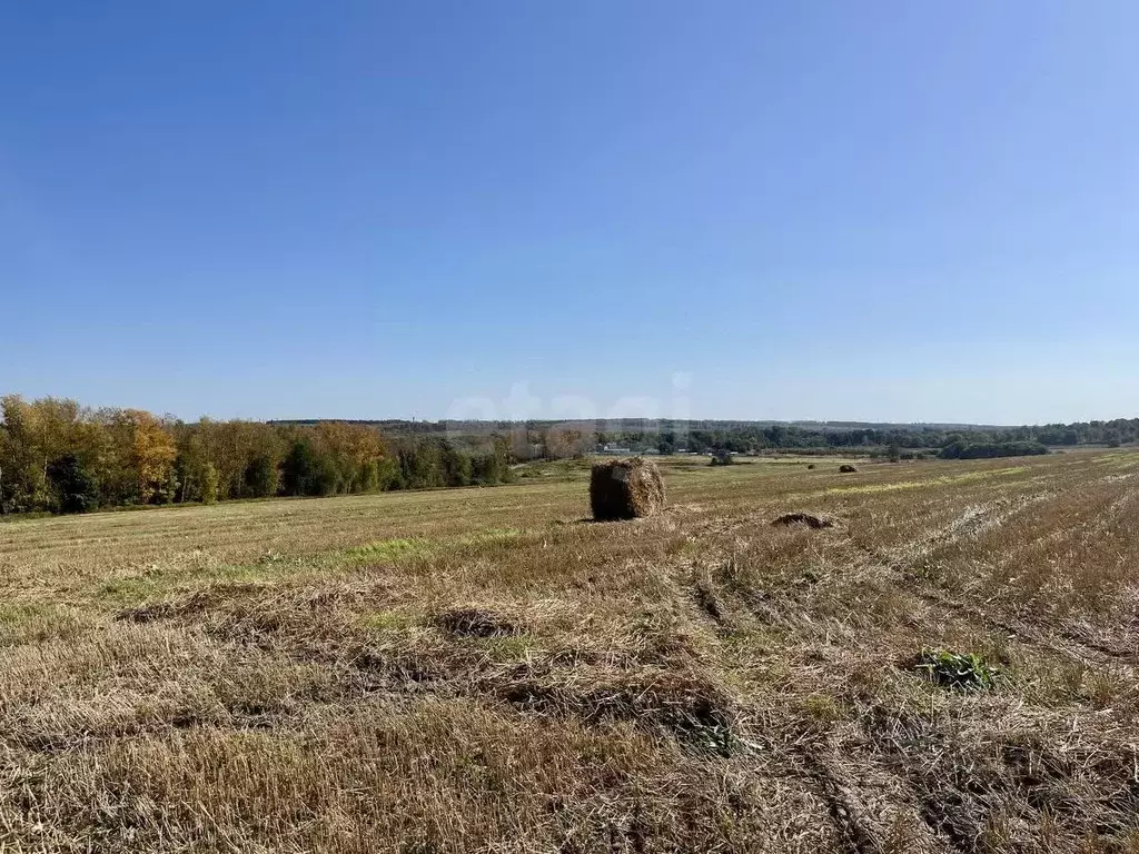 Участок в Тульская область, Тула городской округ, пос. Сергиевский ул. ... - Фото 1