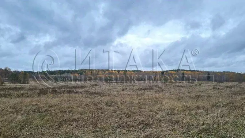Участок в Ленинградская область, Выборгский район, Светогорское ... - Фото 2