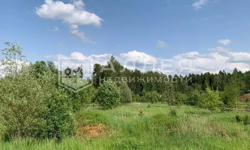 Участок в Московская область, Одинцовский городской округ, Мэдисон ... - Фото 1