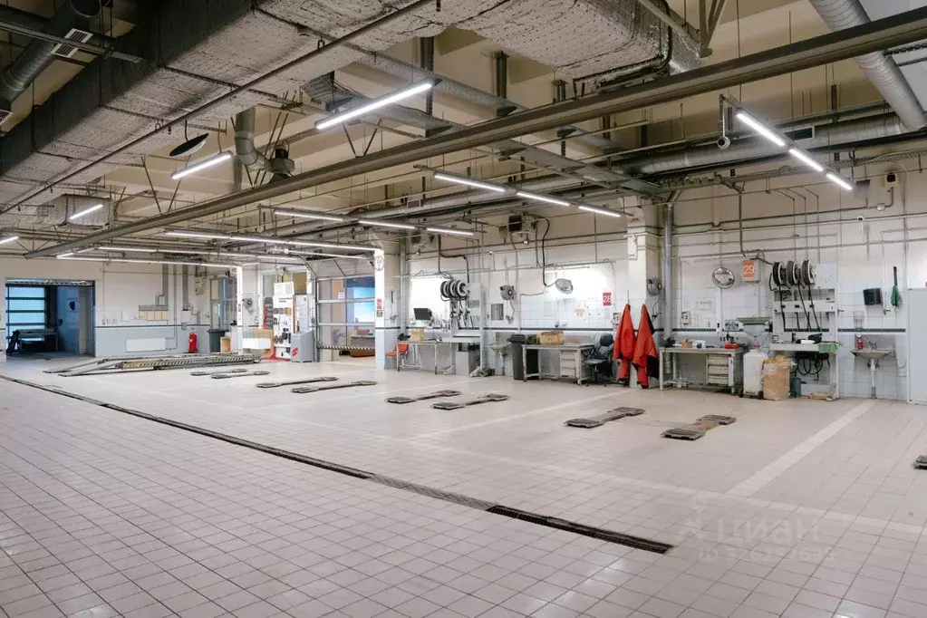 Помещение свободного назначения в Санкт-Петербург ул. Руставели, 31А ... - Фото 1