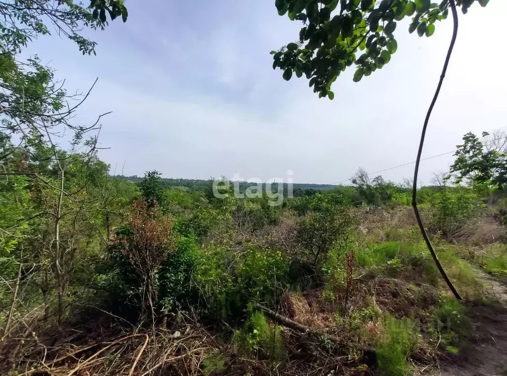 Участок в Ставропольский край, Ставрополь Калинка ДНТ,  (15.7 сот.) - Фото 1