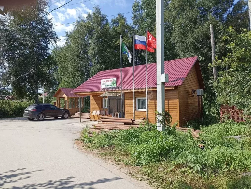 участок в новосибирская область, новосибирск садовод садовое . - Фото 1