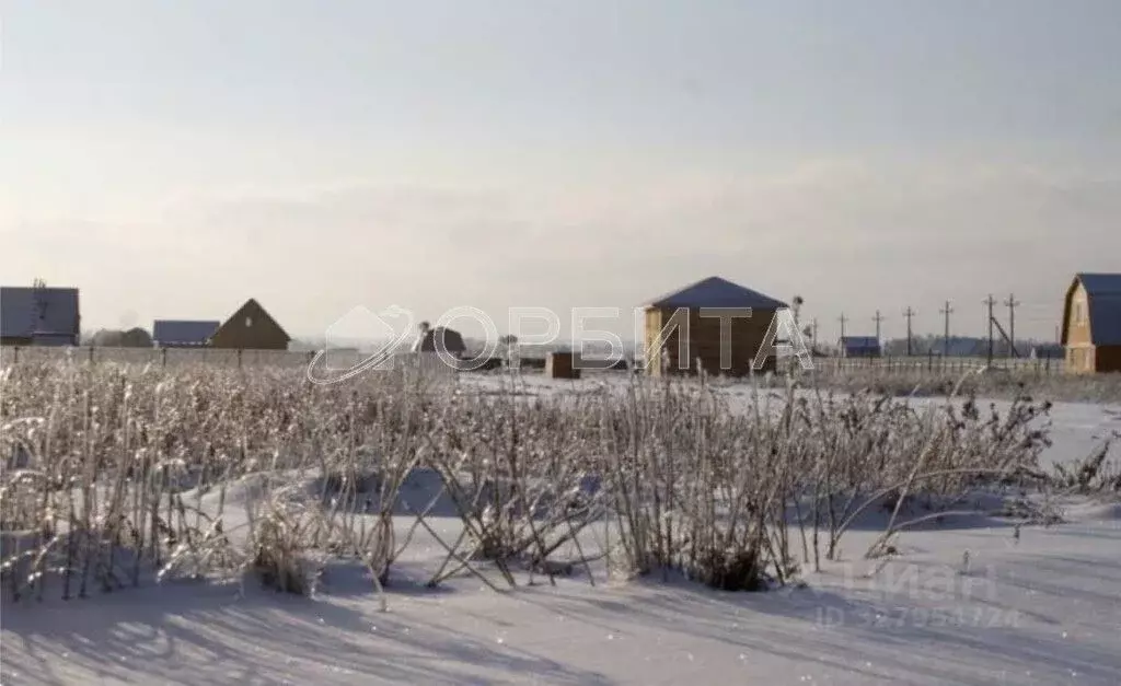 Участок в Тюменская область, Тюменский муниципальный округ, с. Чикча, ... - Фото 2