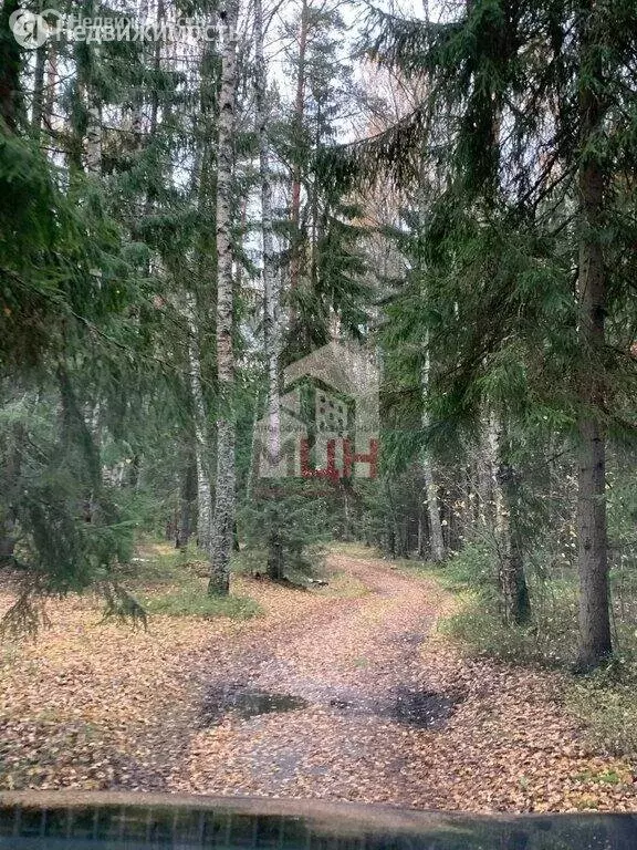 Участок в Тверская область, Конаковский муниципальный округ, деревня ... - Фото 1