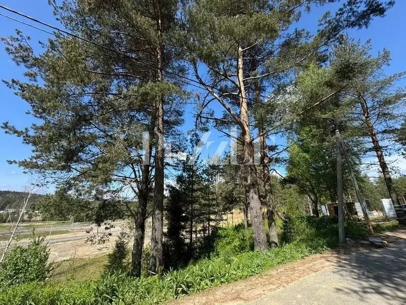 Участок в Ленинградская область, Всеволожский район, Бугровское ... - Фото 2