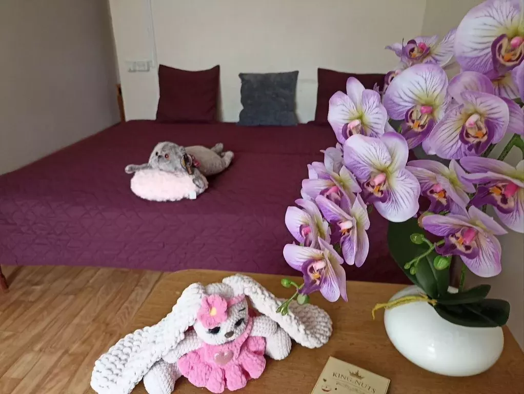 Студия Краснодарский край, Сочи Макопсе мкр, ул. Кольцова, 18 (19.0 м) - Фото 1