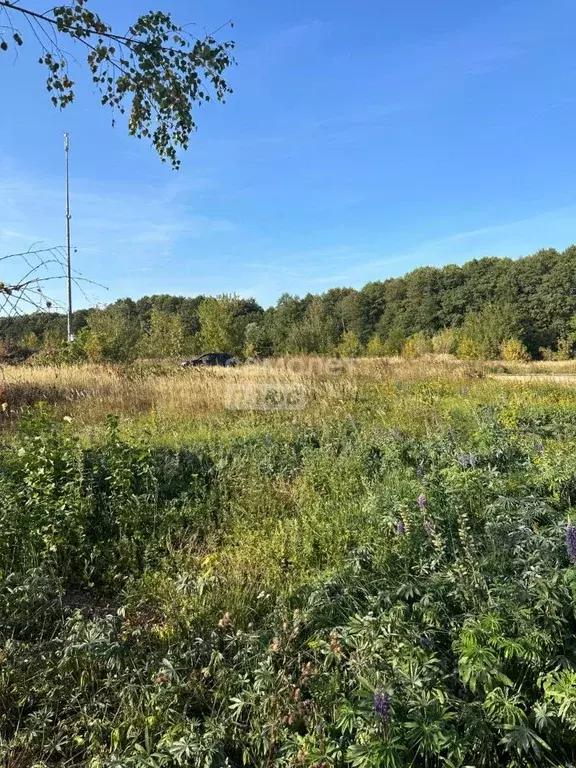 Участок в Московская область, Старая Купавна Богородский городской ... - Фото 0