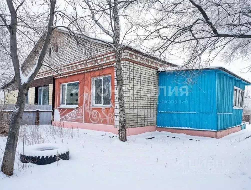 Дом в Амурская область, Серышевский муниципальный округ, с. Белогорка ... - Фото 1
