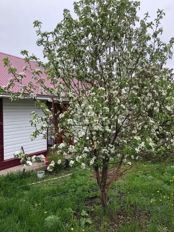 Дом в Оренбургская область, пос. Саракташ ул. Терешковой, 7 (96 м) - Фото 1