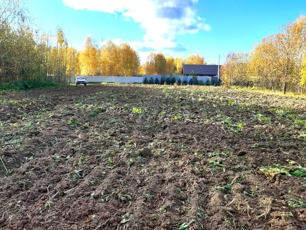 Участок в Пермский край, Добрянский муниципальный округ, д. Кулигино  ... - Фото 2