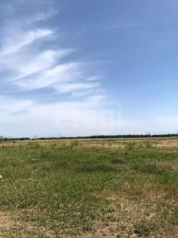 Участок в Ростовская область, Ростов-на-Дону  (4.8 сот.) - Фото 1
