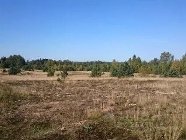 Участок в Псковская область, Гдовский район, Полновская волость, д. ... - Фото 1