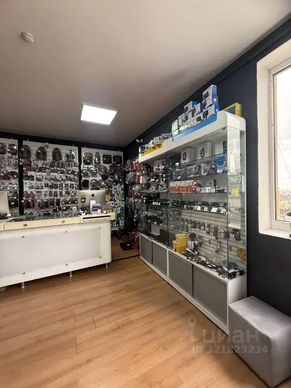 Помещение свободного назначения в Краснодарский край, Сочи ул. ... - Фото 1