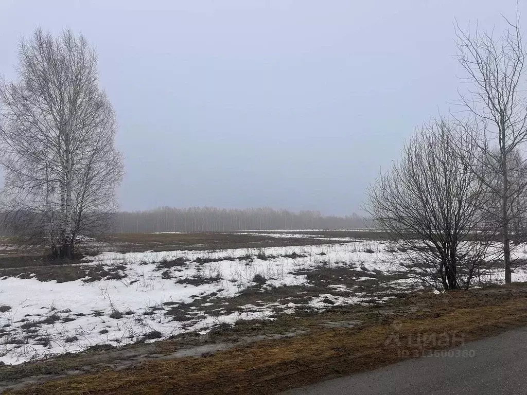 Участок в Чувашия, Моргаушский муниципальный округ, д. Тренькино  ... - Фото 0