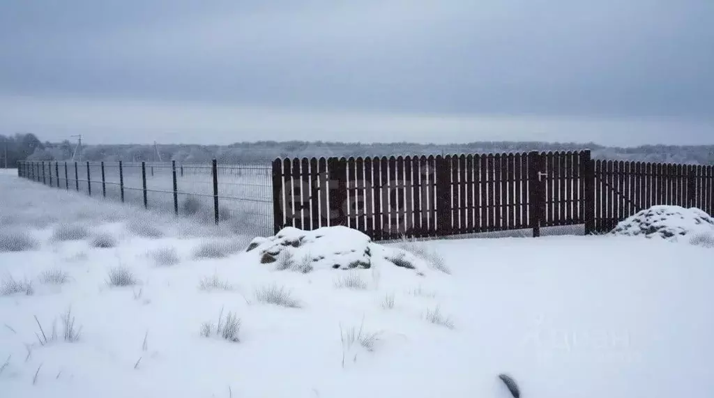 Участок в Тульская область, Заокский район, Демидовское с/пос, д. ... - Фото 1