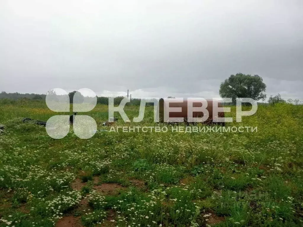 Участок в Пермский край, Чернушинский городской округ, д. Зверево ул. ... - Фото 0