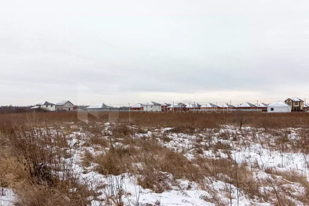 Участок в Тюменская область, Тюмень Казарово мкр, ул. 3-я Новая (6.01 ... - Фото 2