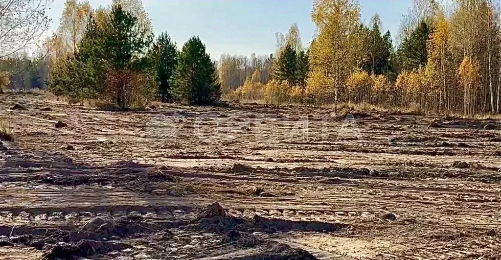 Участок в Тюменская область, Нижнетавдинский район, с. Тюнево  (400.0 ... - Фото 1