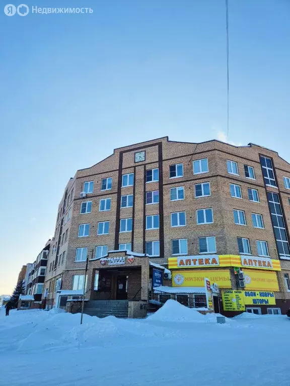 1-комнатная квартира: село Еткуль, улица Ленина, 50 (42.7 м) - Фото 2