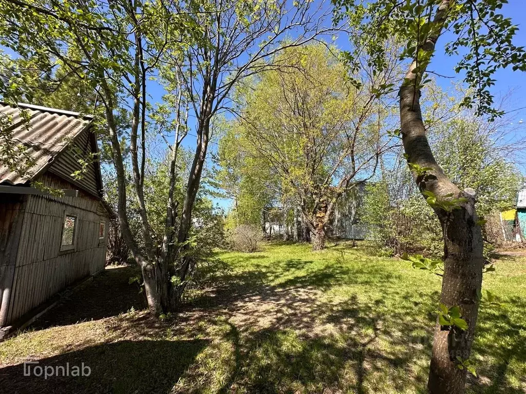 Дом в Алтайский край, Павловский район, с. Стуково Молодежная ул., 11 ... - Фото 2