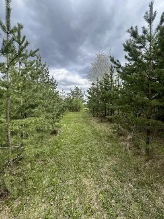 Участок в Свердловская область, Белоярский городской округ, с. ... - Фото 0