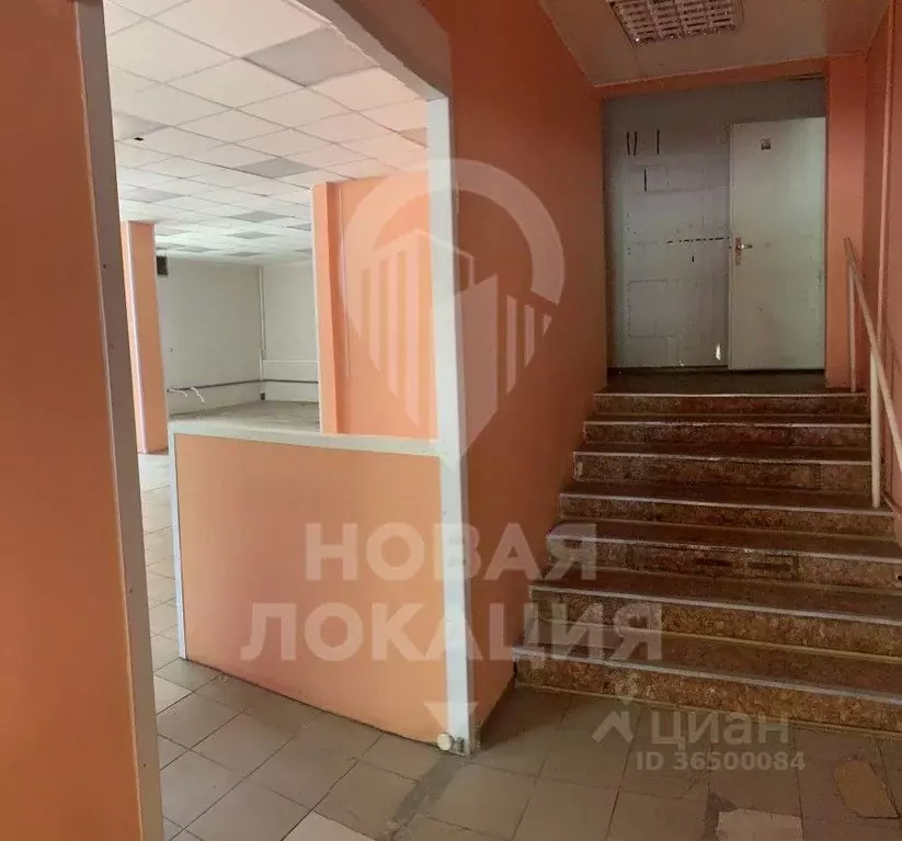 Торговая площадь в Омская область, Омск Заозерный мкр, ул. Светлая, 4 . - Фото 0