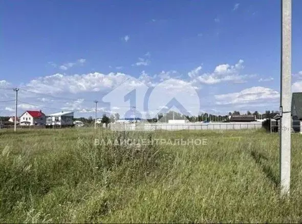 Участок в Новосибирская область, Новосибирский район, Станционный ... - Фото 1