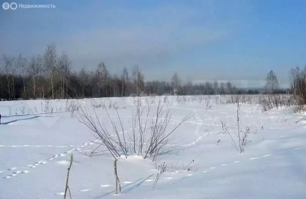 Участок в село Волково, Зелёная улица (30 м) - Фото 0