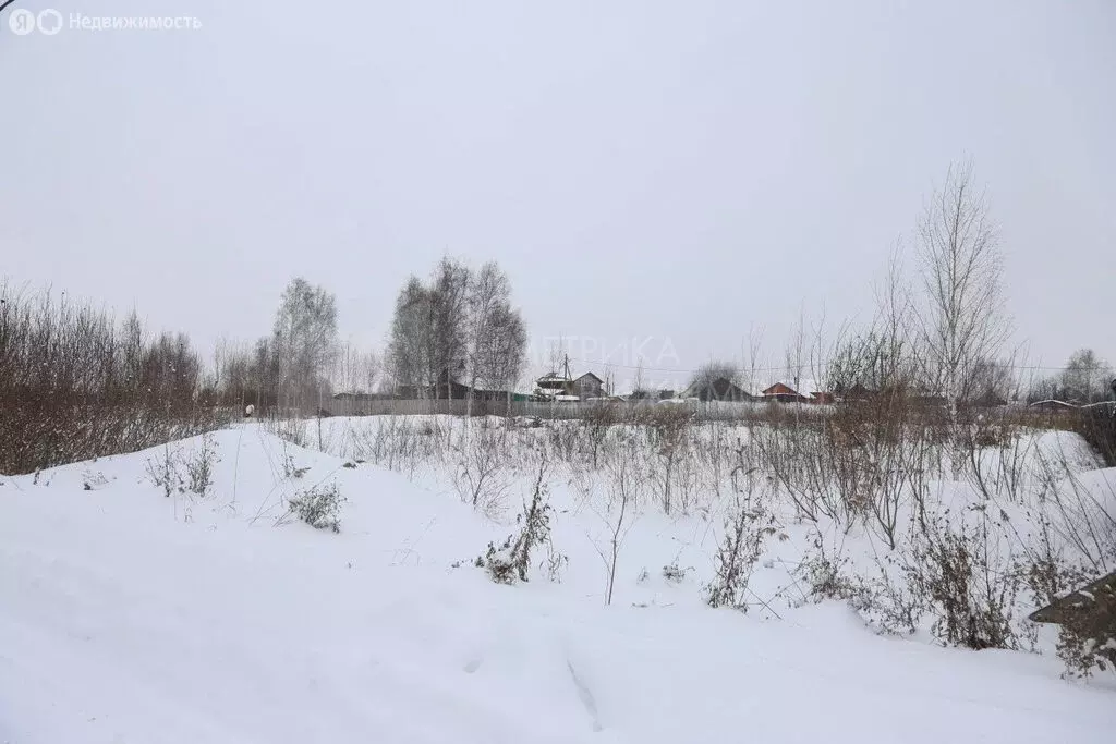 Участок в Тюмень, садовое товарищество Липовый Остров, 8-я Восточная ... - Фото 1