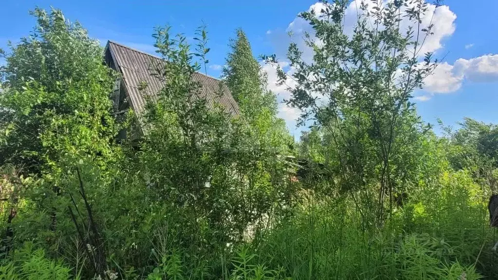 Участок в Вологодская область, Череповец №8 Череповецметаллургхимстрой ... - Фото 1