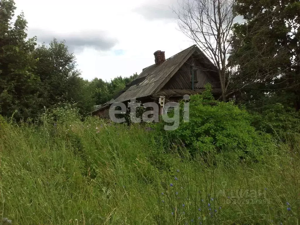 Участок в Костромская область, Красносельский район, Прискоковское ... - Фото 1