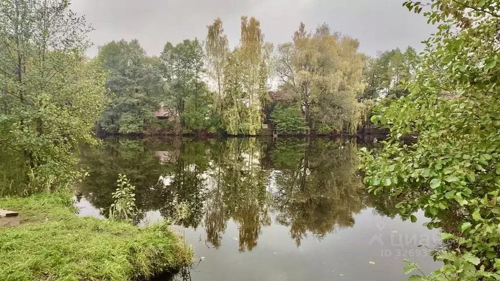 Участок в Московская область, Домодедово городской округ, с. Лобаново ... - Фото 2