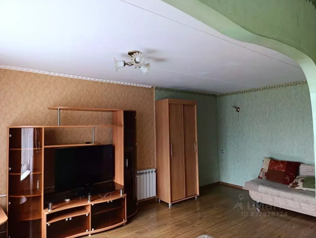 1-к кв. Пермский край, Пермь ул. Героев Хасана, 95 (29.0 м) - Фото 1