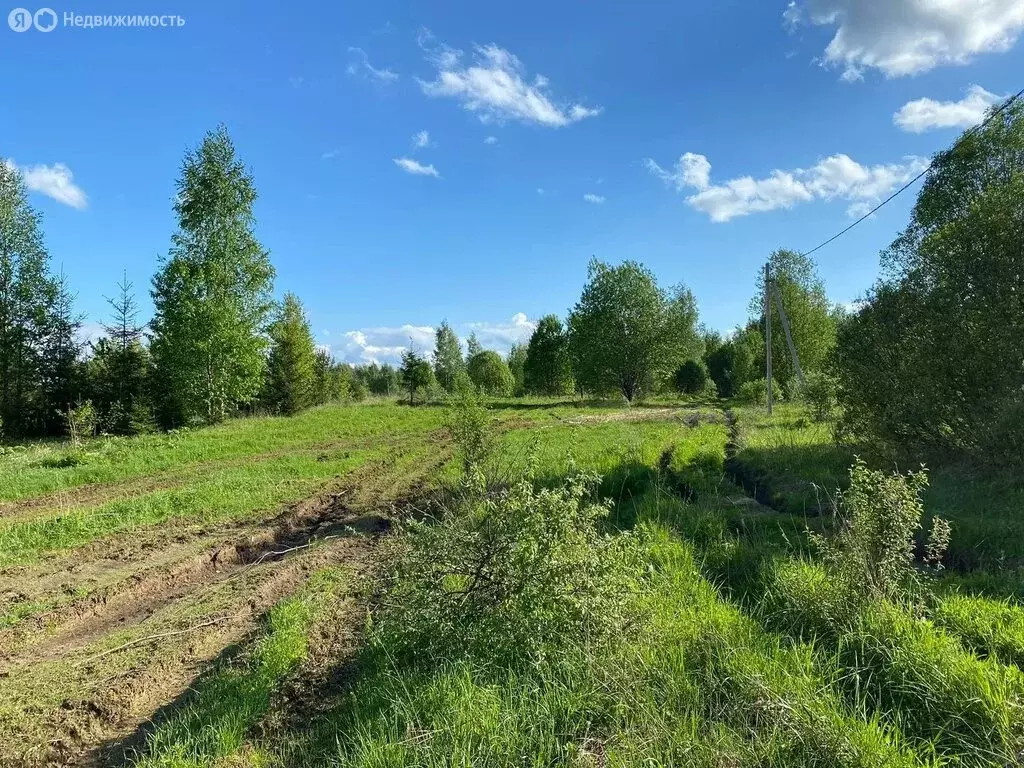 Участок в Бургинское сельское поселение, деревня Шеляйха, Столбовая ... - Фото 1