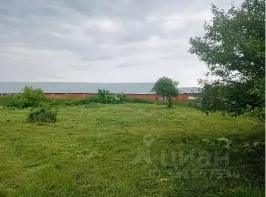Участок в Московская область, Коломна городской округ, пос. Биорки  ... - Фото 2