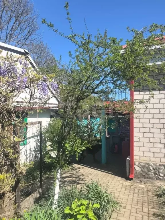 Дом в Краснодарский край, Геленджик городской округ, с. Михайловский ... - Фото 1