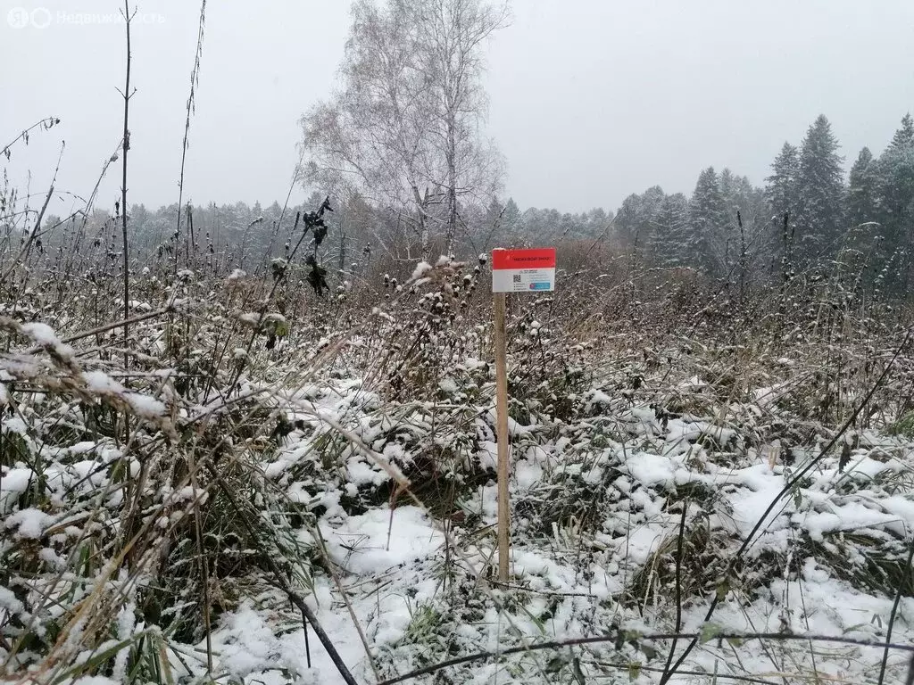 Участок в Томский район, Богашёвское сельское поселение, деревня ... - Фото 1