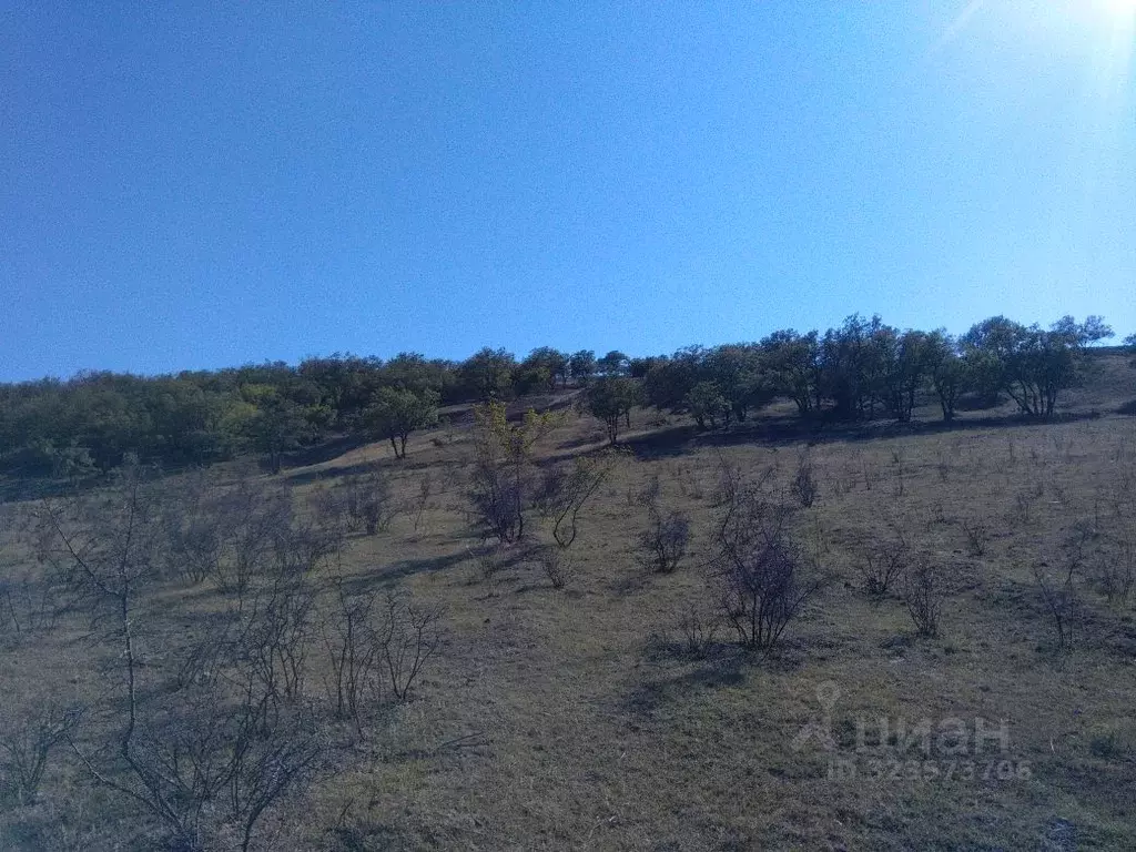 Участок в Крым, Алушта муниципальный округ, с. Малореченское  (10.0 ... - Фото 2