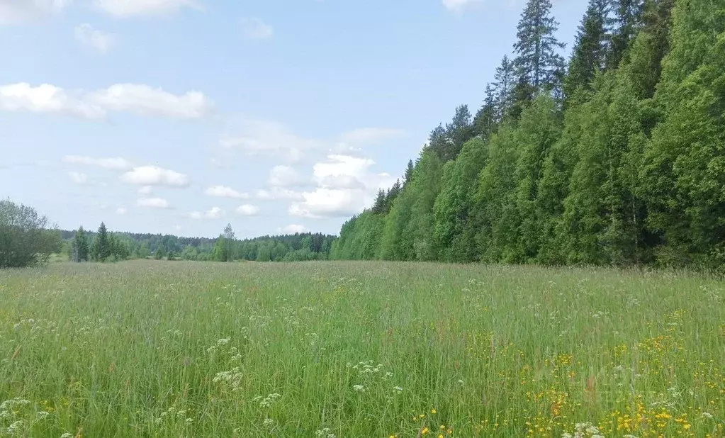 Участок в Ленинградская область, Выборгский район, Полянское с/пос, ... - Фото 2